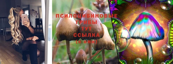 прущие крисы Нефтегорск